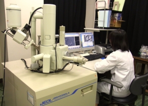電子顕微鏡（走査型）を用いた粉じんの形態観察の画像