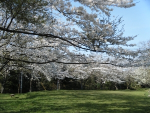 菖蒲谷池自然公園