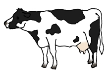 ホルスタイン（乳用牛）のイラスト