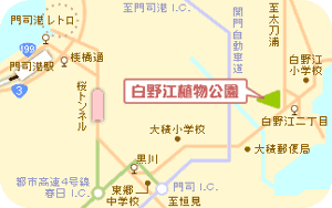 白野江植物公園　地図