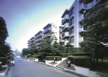 志井サンハイツ第二住宅管理組合緑のまちづくり活動の写真
