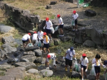 河川清掃活動の写真1