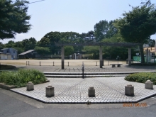 仙水公園愛護会の写真