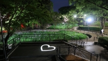 日本庭園の花菖蒲のライトアップの画像