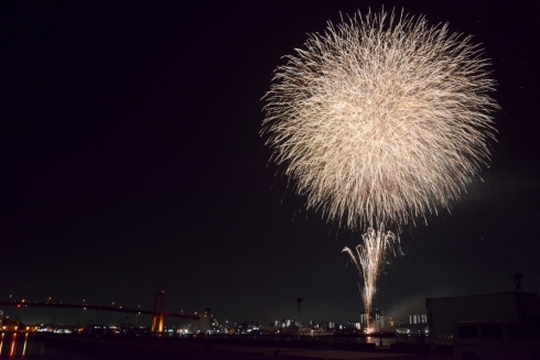 くきのうみ花火の祭典の画像