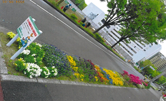 企救一公園愛護会さんの花と緑づくりの写真