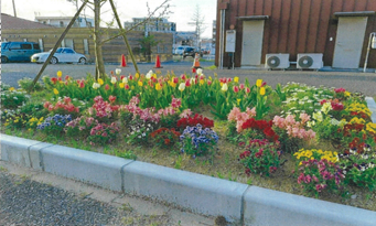 社会福祉法人 もやい聖友会さんの花と緑づくりの写真