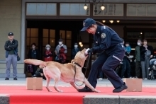 麻薬探知犬デモンストレーションの様子