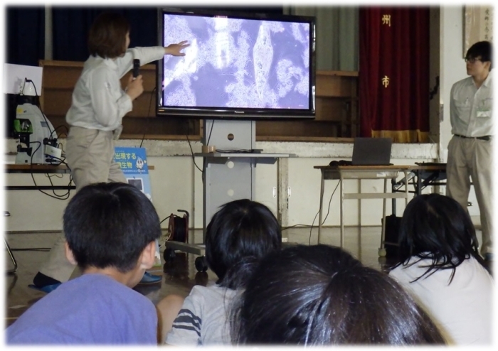 顕微鏡で見る下水をきれいにする生き物に興味津々な子どもたちの写真