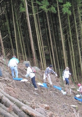 植樹の風景の写真