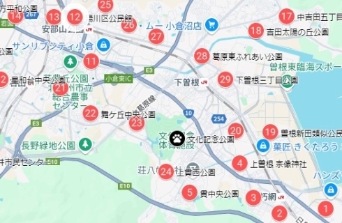 Google mapイメージ図