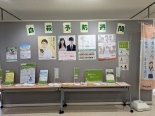 北九州パレス展示の様子