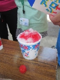 ワラビー体験2日目の様子（かき氷）