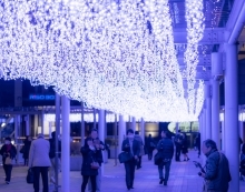 黒崎地区イルミネーション画像(参考)