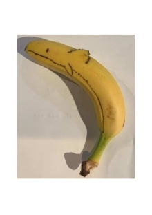 優秀賞「いるか」つむちゃんの写真