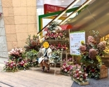 昨年の様子（フォトスポットの写真）