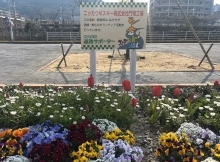 道路サポーター花壇の写真