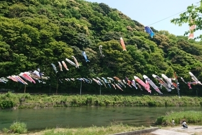 こいのぼりまつりの様子