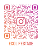 インスタグラム