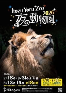 夜の動物園チラシ