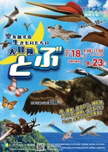 チラシデータ