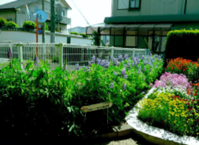 企救一公園愛護会さんの花と緑づくりの写真