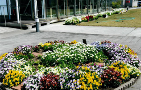 周望 花の会さんの花と緑づくりの写真