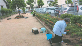 西戸畑まちづくり協議会さんの花と緑づくりの写真