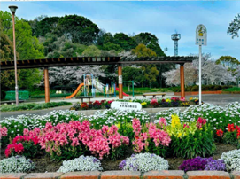 永犬丸の森公園さんの花と緑づくりの写真