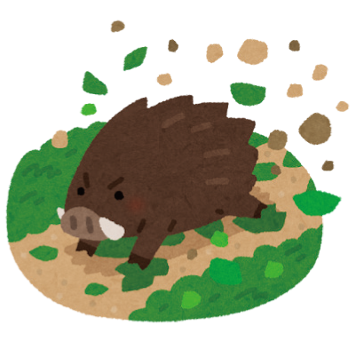 イノシシの隠れ場所をなくそうのイラスト