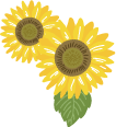 ひまわりのイラスト