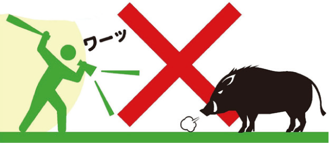 イノシシの目撃情報が増えていますのイラスト